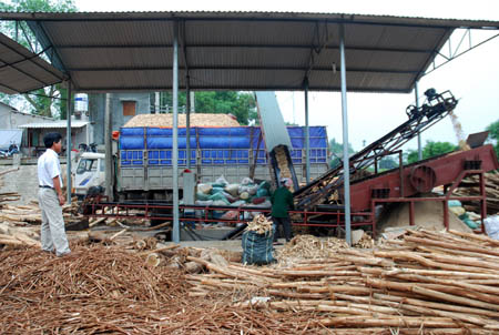 Công ty mới liên kết đầu tư xưởng chế biến gỗ tận dụng, tạo thêm việc làm và tăng thu nhập cho công nhân lao động.
